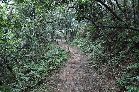 福人山|[桃園楊梅]．福人登山步道（Tony的自然人文旅記第0996篇）